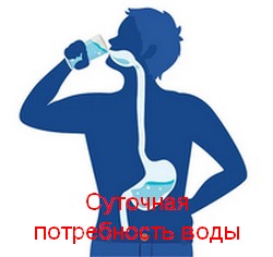 потребность воды в сутки